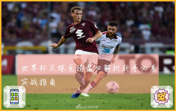 世界杯买球竞猜盘口解析新手必看实战指南