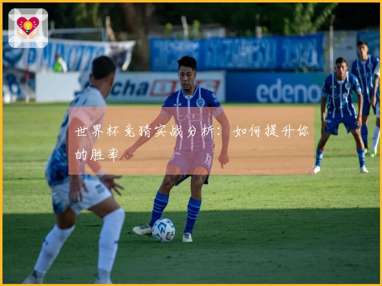 世界杯竞猜实战分析：如何提升你的胜率