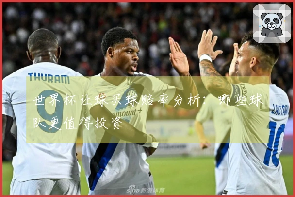 世界杯让球买球赔率分析：哪些球队更值得投资