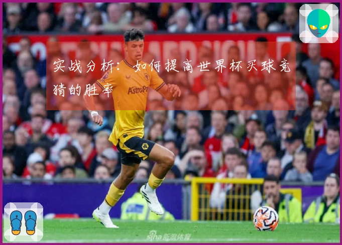 实战分析：如何提高世界杯买球竞猜的胜率