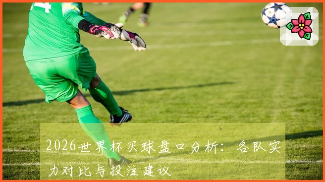 2026世界杯买球盘口分析：各队实力对比与投注建议