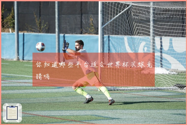 你知道哪些平台适合世界杯买球竞猜吗