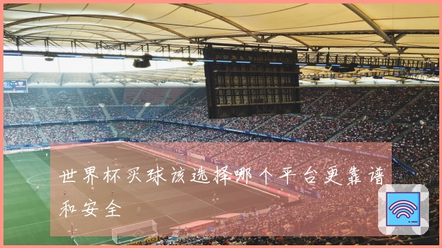 世界杯买球该选择哪个平台更靠谱和安全