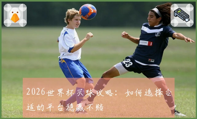 2026世界杯买球攻略：如何选择合适的平台稳赢不赔