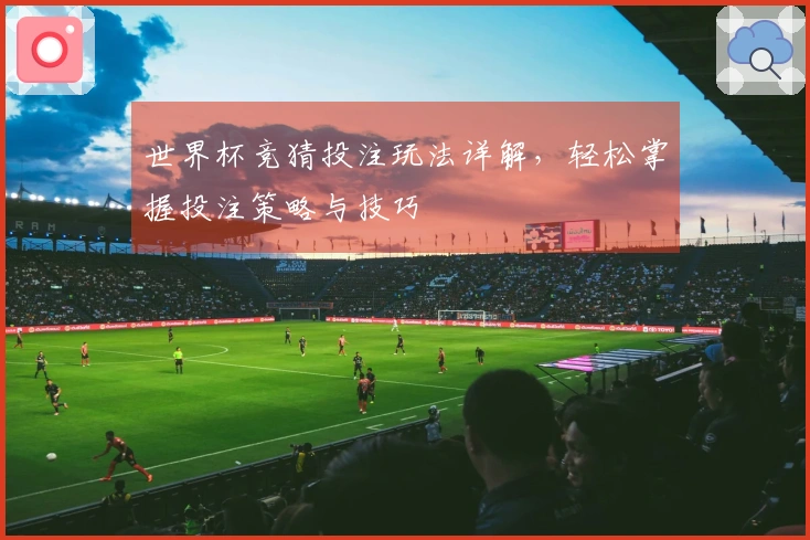 世界杯竞猜投注玩法详解，轻松掌握投注策略与技巧