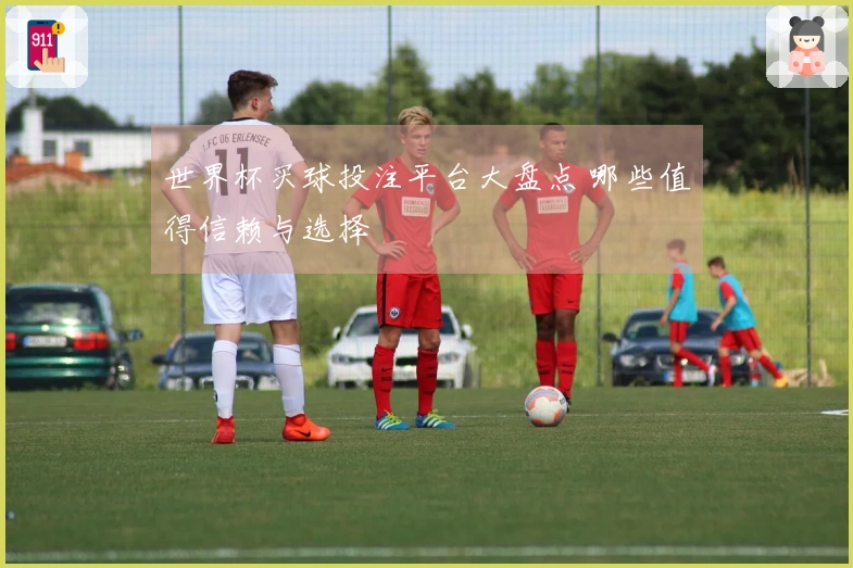 世界杯买球投注平台大盘点 哪些值得信赖与选择