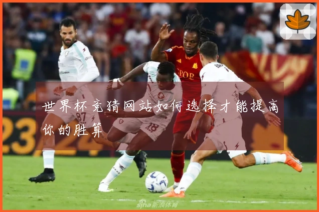 世界杯竞猜网站如何选择才能提高你的胜算