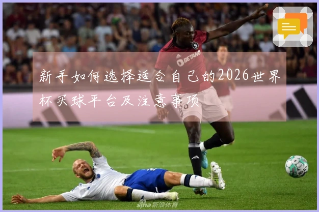 新手如何选择适合自己的2026世界杯买球平台及注意事项