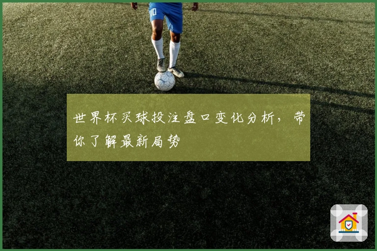 世界杯买球投注盘口变化分析，带你了解最新局势