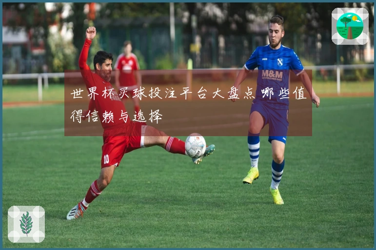 世界杯买球投注平台大盘点 哪些值得信赖与选择