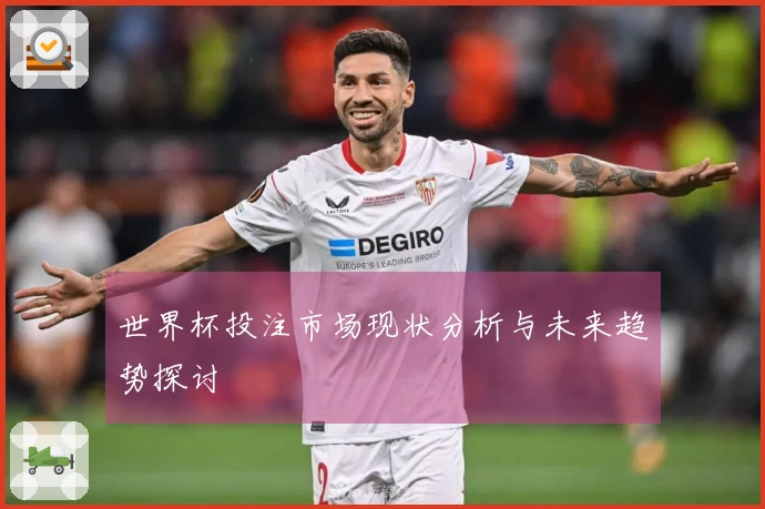 世界杯投注市场现状分析与未来趋势探讨