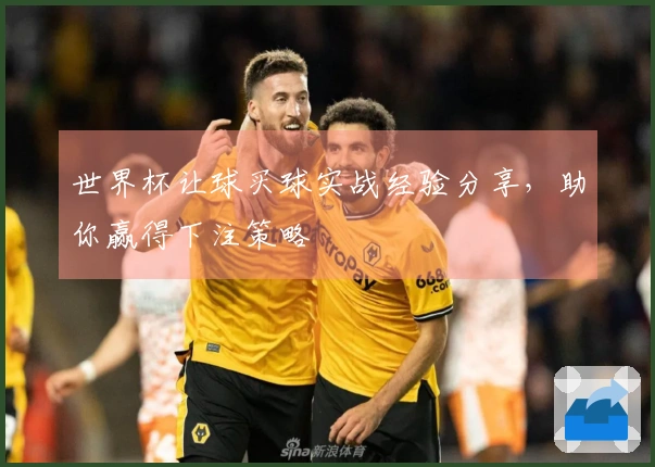 世界杯让球买球实战经验分享，助你赢得下注策略