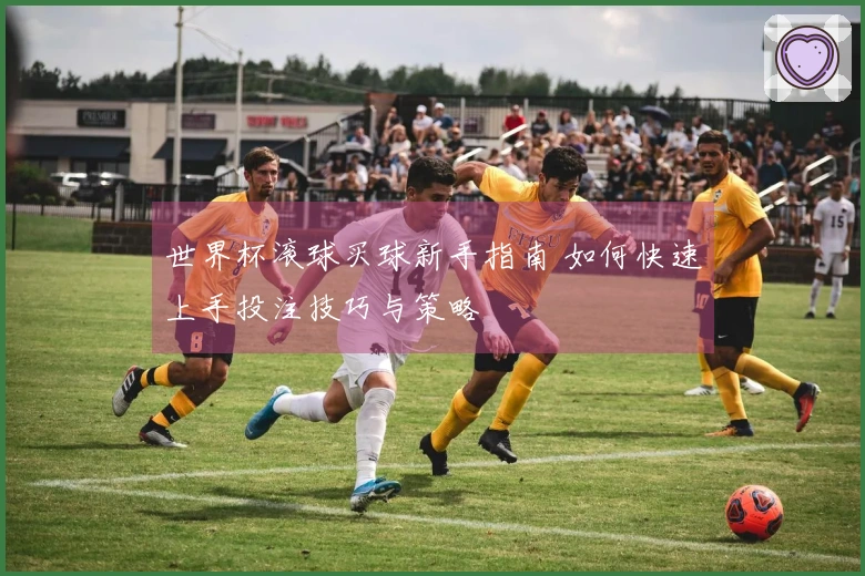 世界杯滚球买球新手指南 如何快速上手投注技巧与策略