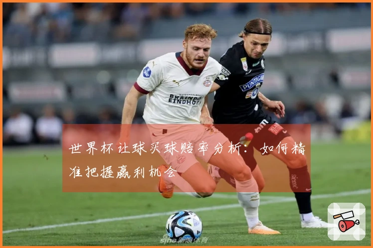 世界杯让球买球赔率分析：如何精准把握赢利机会