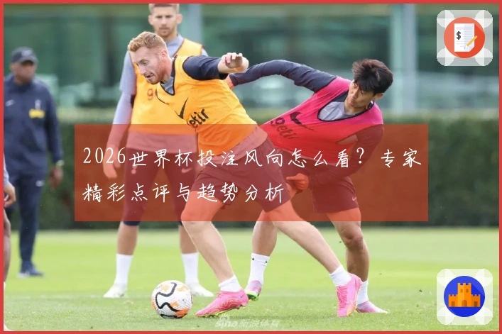 2026世界杯投注风向怎么看？专家精彩点评与趋势分析