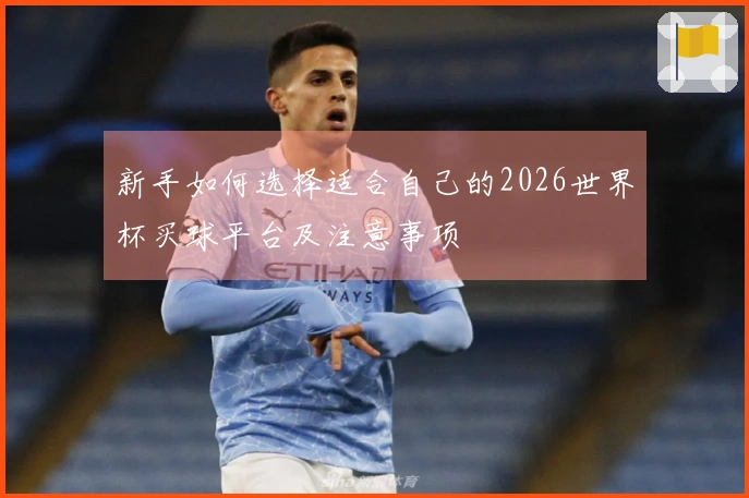 新手如何选择适合自己的2026世界杯买球平台及注意事项
