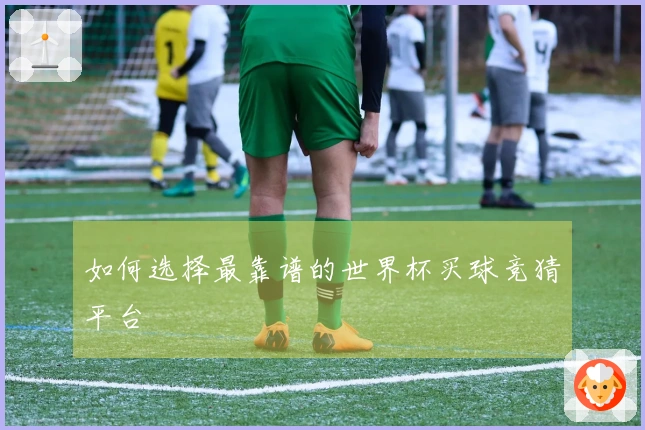 如何选择最靠谱的世界杯买球竞猜平台