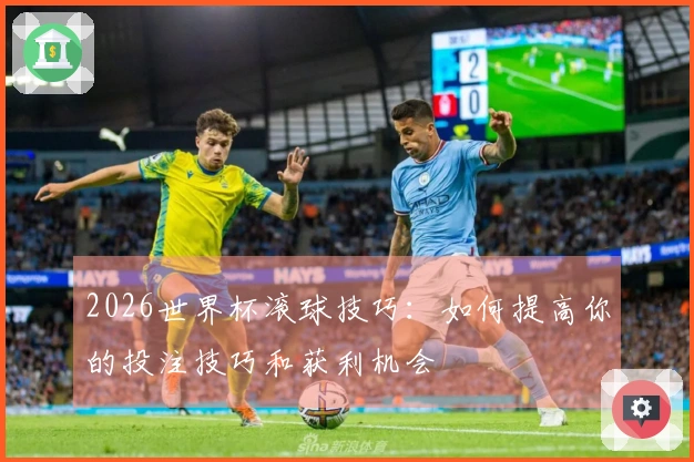2026世界杯滚球技巧：如何提高你的投注技巧和获利机会